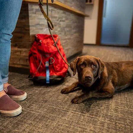 Schi- Und Wanderhotel Berghof فندق 4*