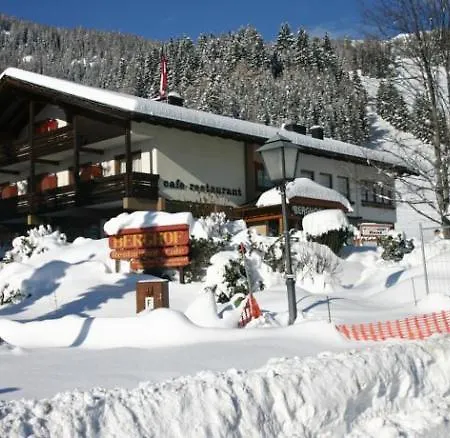 Otel Schi- Und Wanderhotel Berghof 4*